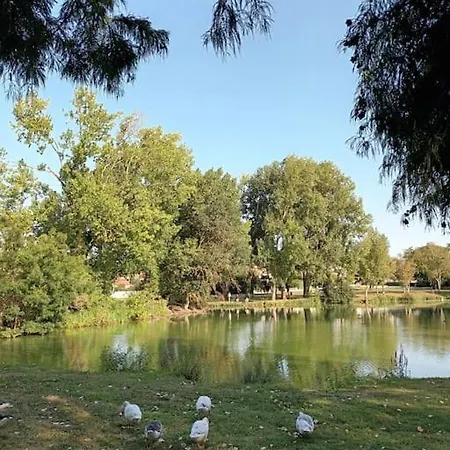 Pontaillac Metairie Apartman