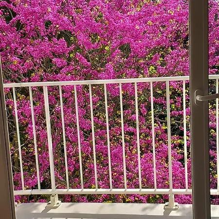 Pontaillac Metairie Apartman Royan