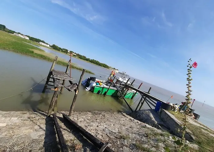 Appartement Pontaillac Metairie Royan