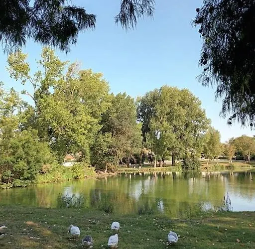 Pontaillac Metairie Appartement