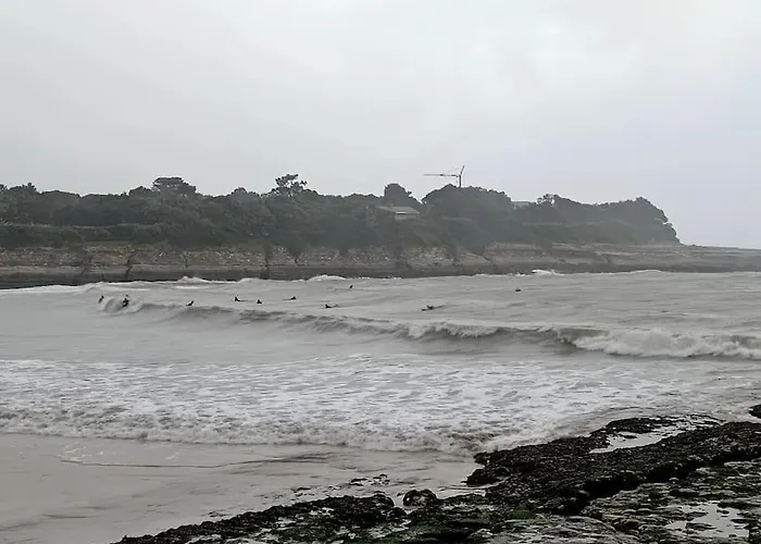 Pontaillac Metairie Appartement