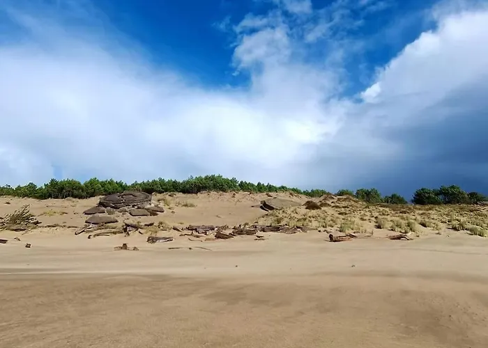 Pontaillac Metairie Appartement Royan