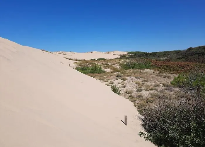 Appartement Pontaillac Metairie