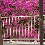 Pontaillac Metairie Апартаменты Руайян