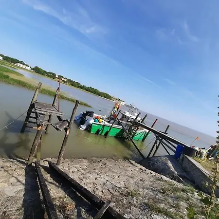 Apartment Pontaillac Metairie Royan