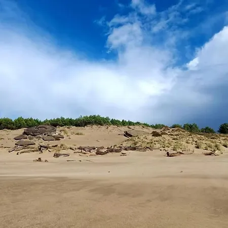 Pontaillac Metairie Apartment Royan