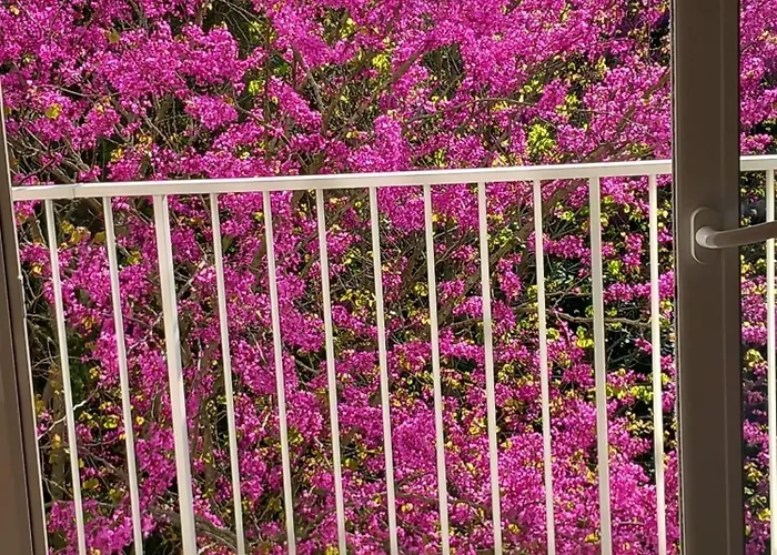 Pontaillac Metairie Apartment Royan